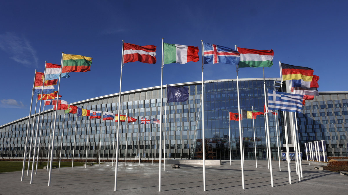Vad är NATO och vilka är medlemsländerna? 